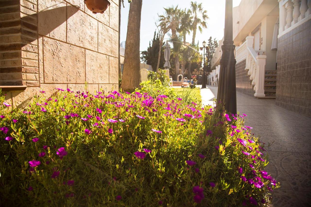 Laguna Salada Aparthotel Torrevieja Exterior photo